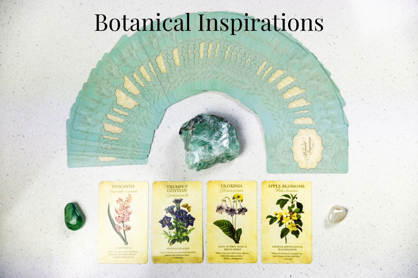 Nature & Animal-Inspired Deck Reading