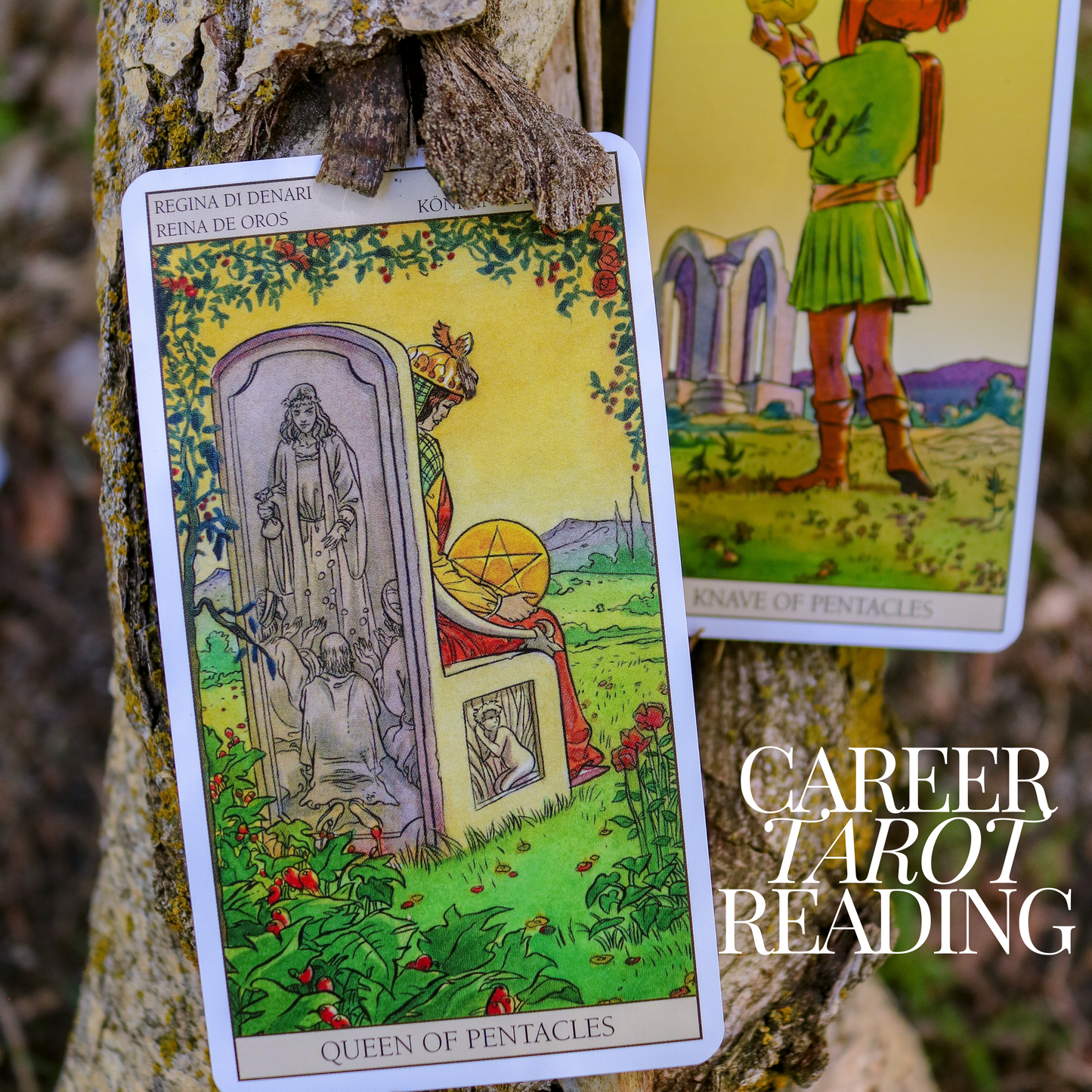 Career Tarot Reading