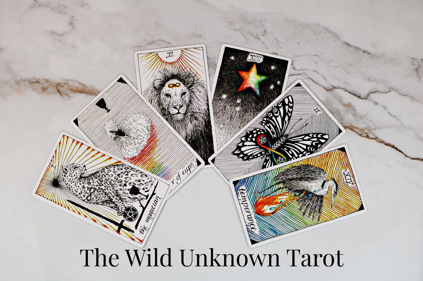 Nature & Animal-Inspired Deck Reading